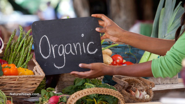 82% of households are now purchasing organic items
